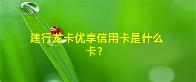 建行龙卡优享信用卡是什么卡?